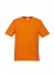 Ice Tee - Colours - Mens